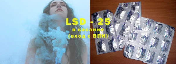 ПСИЛОЦИБИНОВЫЕ ГРИБЫ Баксан