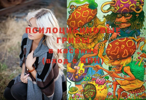 ПСИЛОЦИБИНОВЫЕ ГРИБЫ Баксан