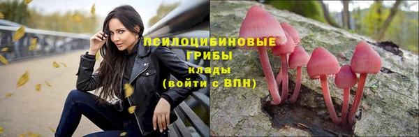 ПСИЛОЦИБИНОВЫЕ ГРИБЫ Баксан
